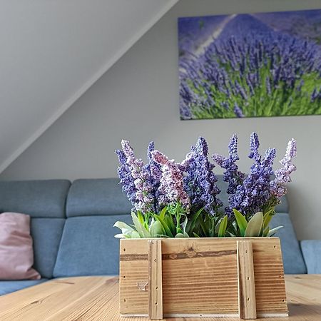 Apartament Morska Lawenda 斯维诺乌伊希切 外观 照片