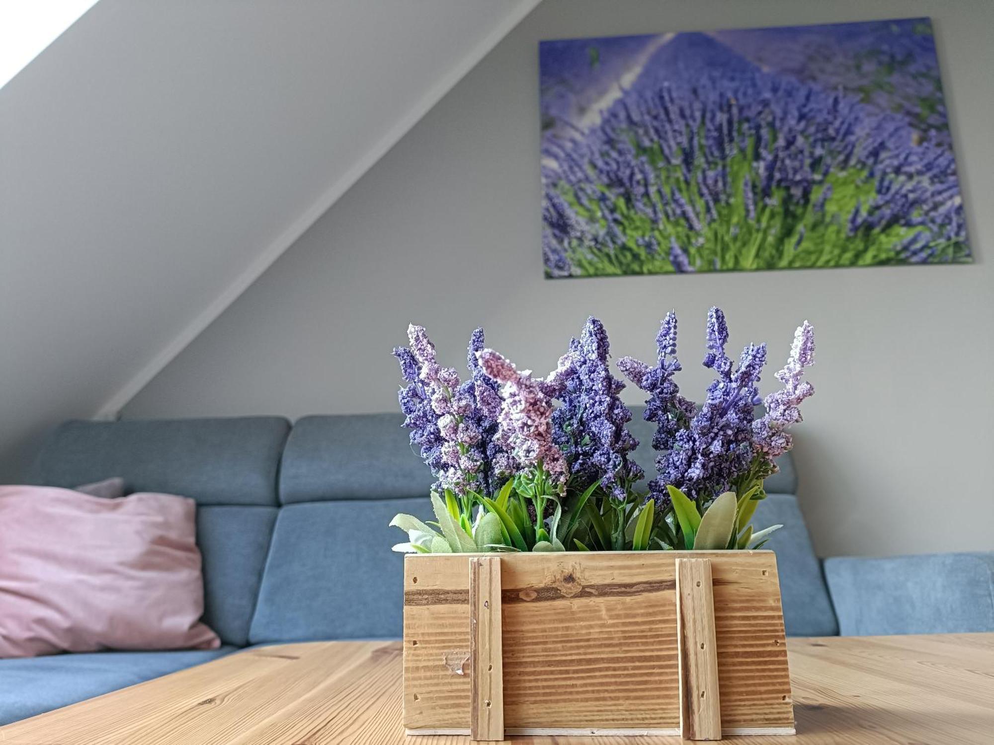 Apartament Morska Lawenda 斯维诺乌伊希切 外观 照片
